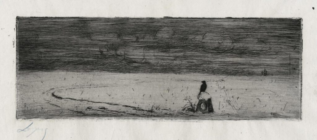 Lepic – Corbeau sur une pierre dans un étendue neigeuse