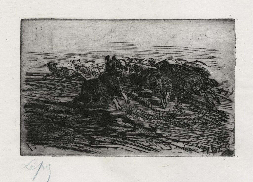 Lepic – Chien regroupant son troupeau