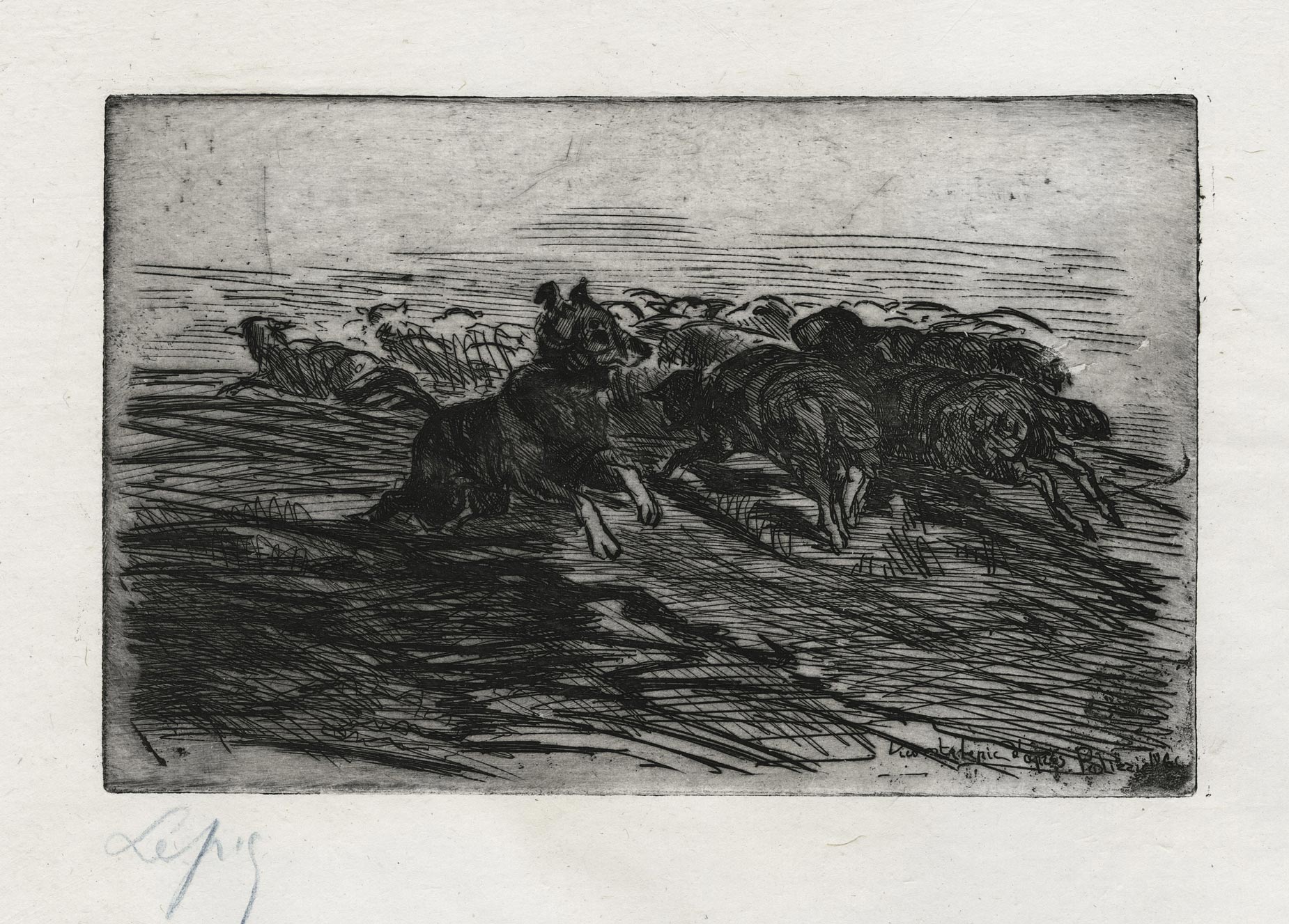 Dog herding his herd