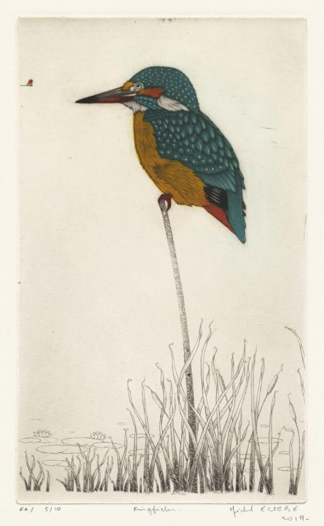Estèbe – Kingfisher