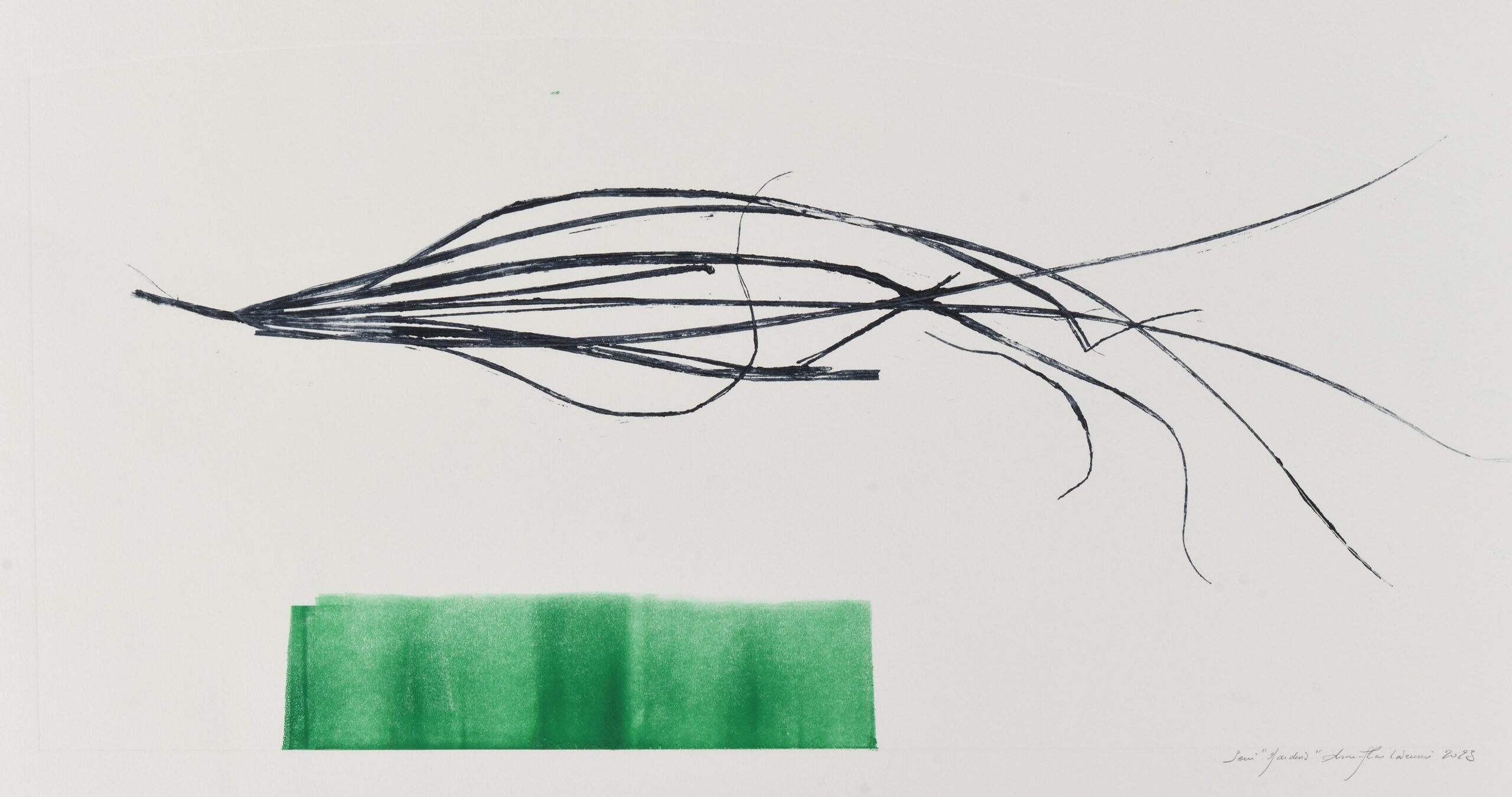 Untitled (plant composition in black, dominant green)