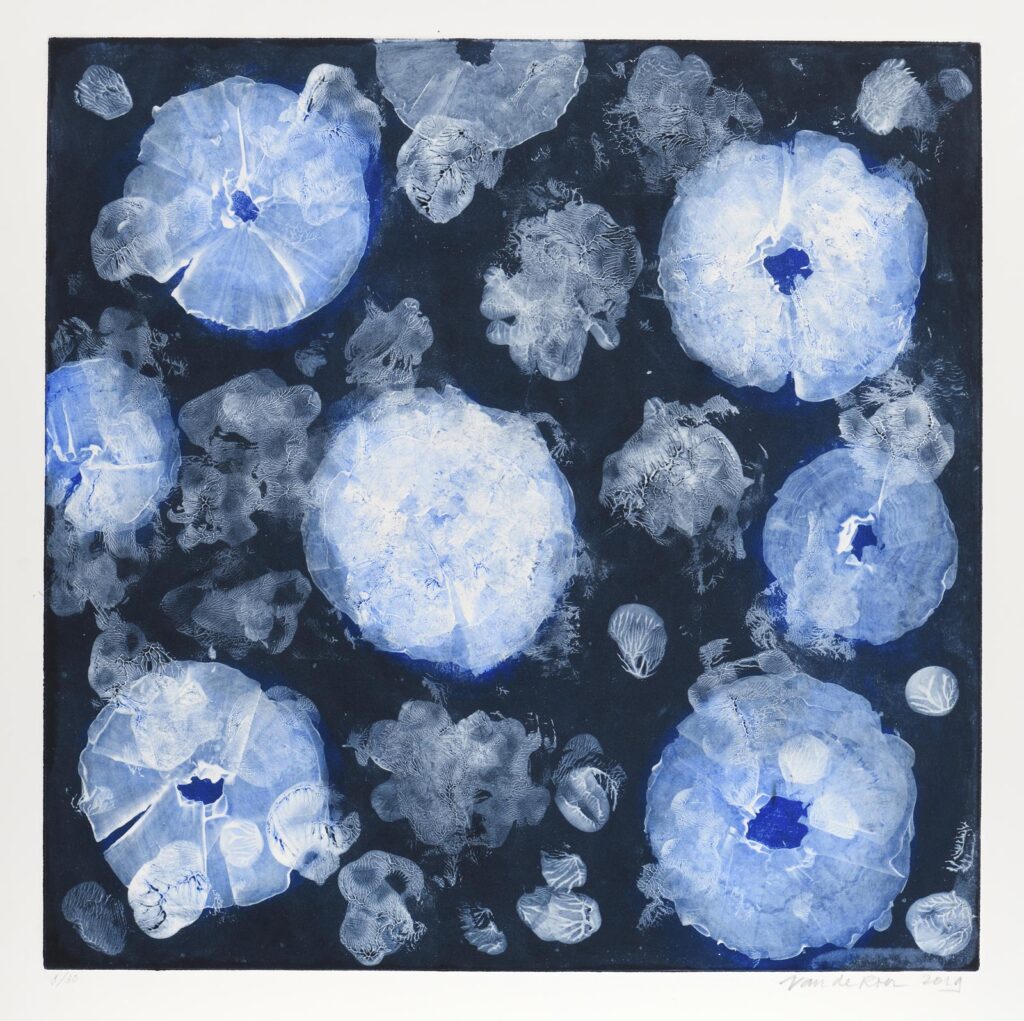 Roer – Sans titre (composition en bleu)