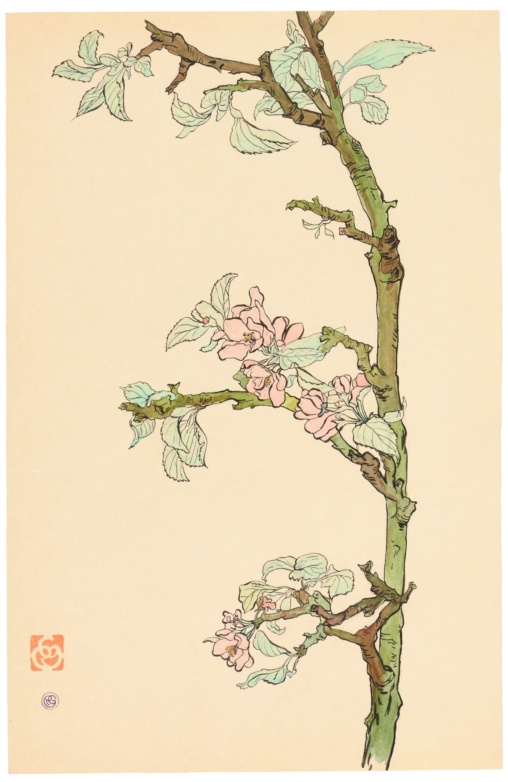 Branche de cerisier en fleur