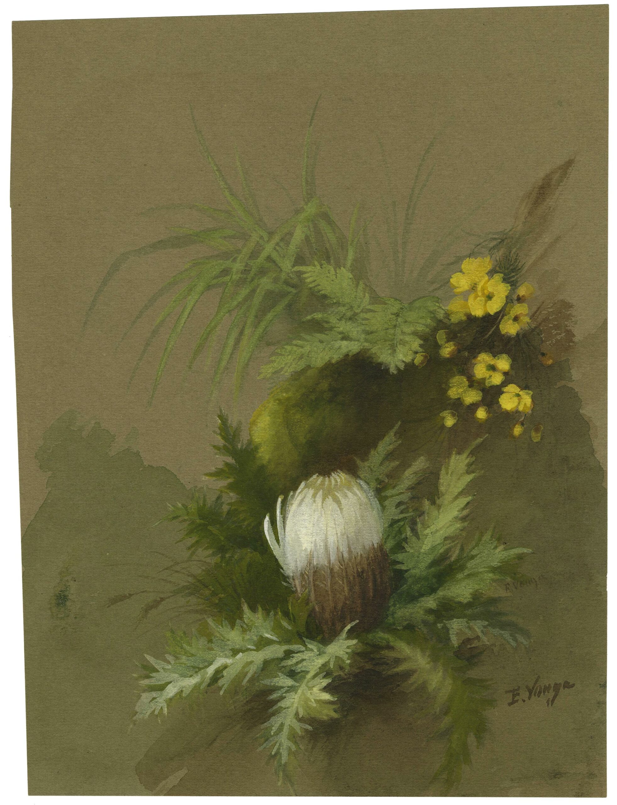 Bouquet of acanthus-leaved carline thistle, winter jasmine and fern