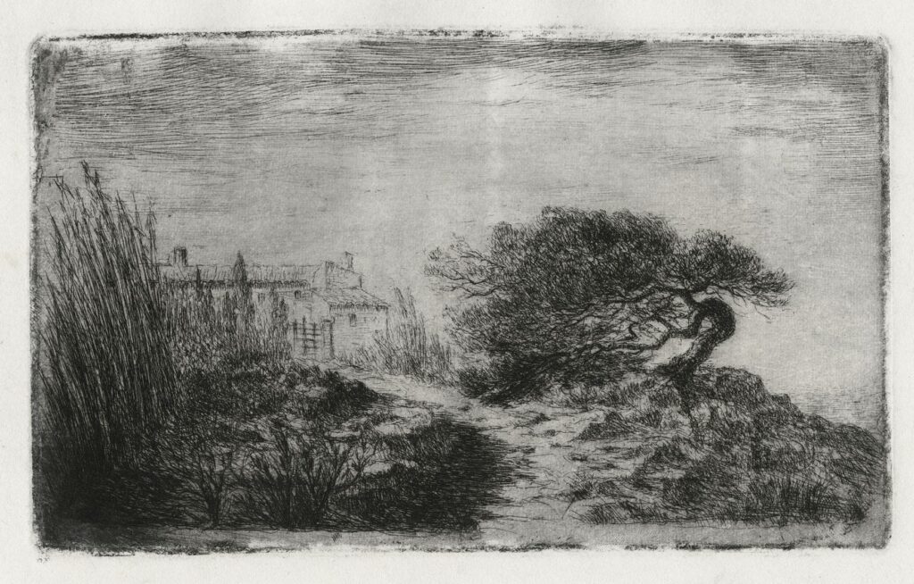 Borel – Le Chemin du vieux mas