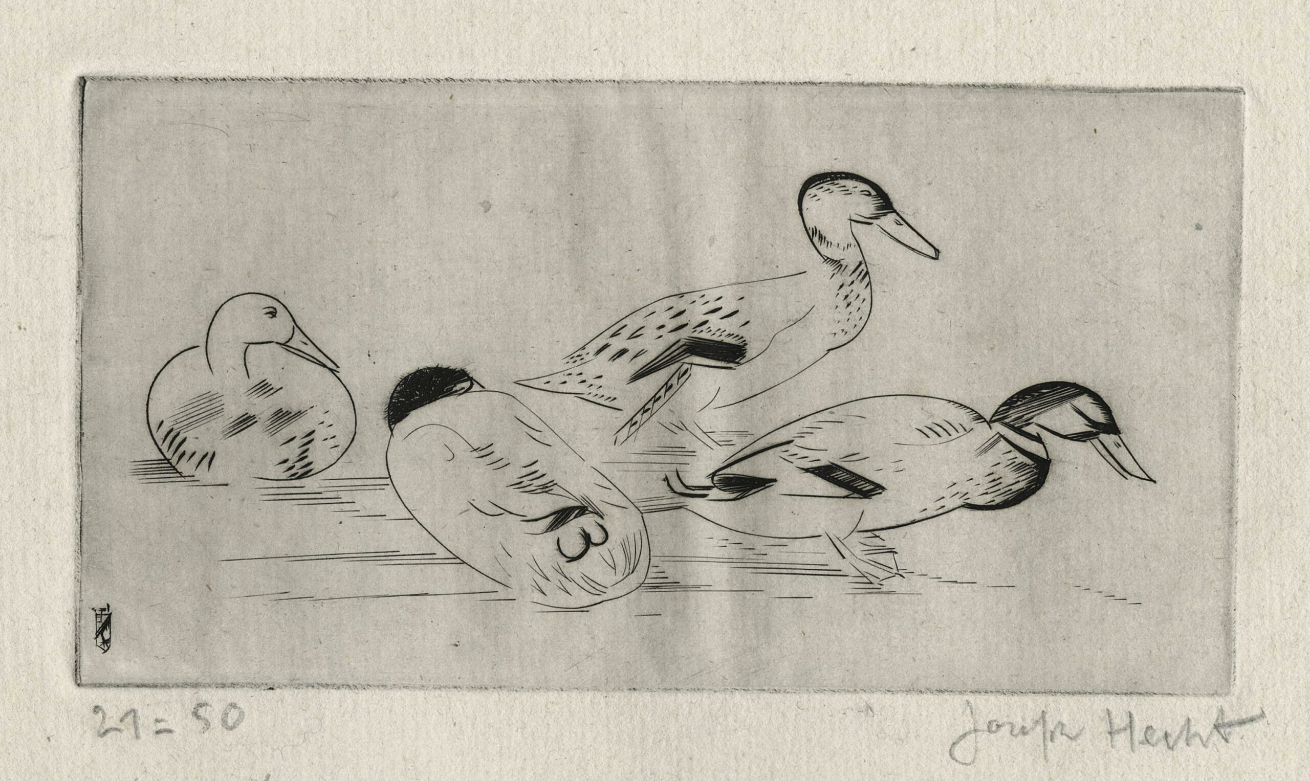 HECHT Joseph — Quatre canards