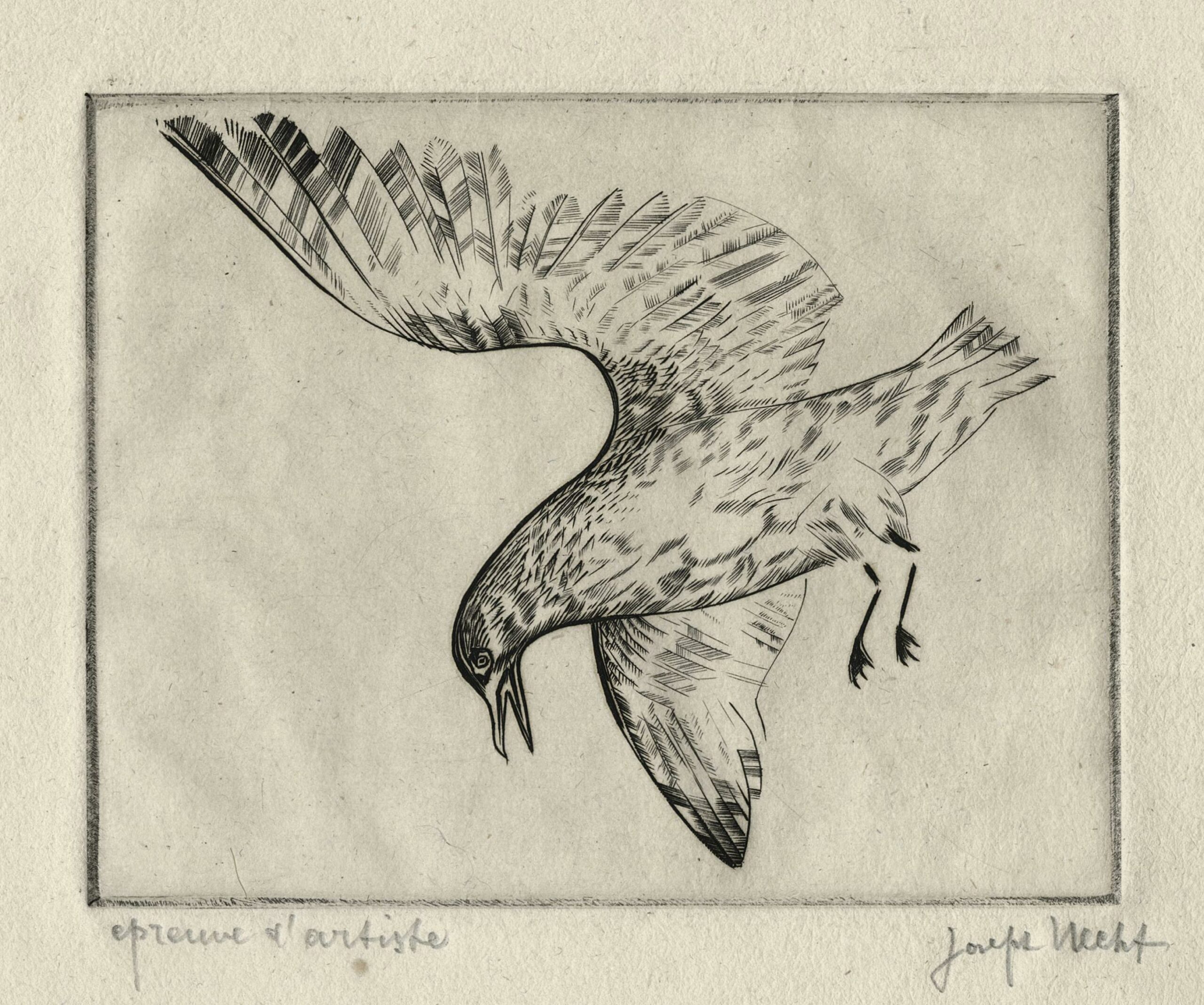 HECHT Joseph — Mouette