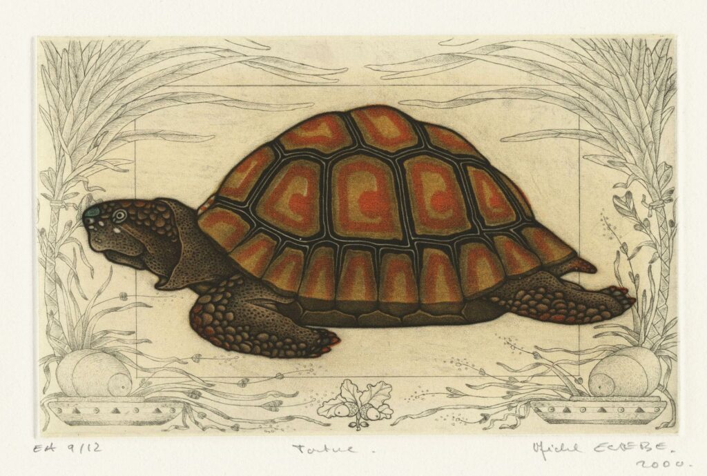 Estèbe – Tortue
