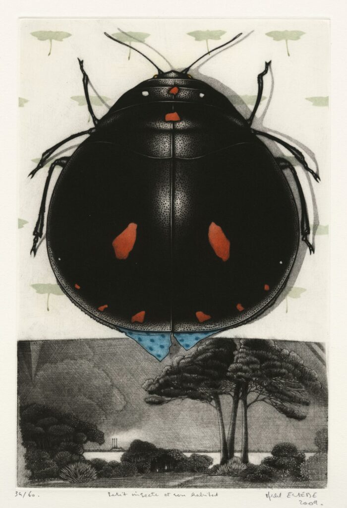 Estèbe – Petit insecte et son habitat