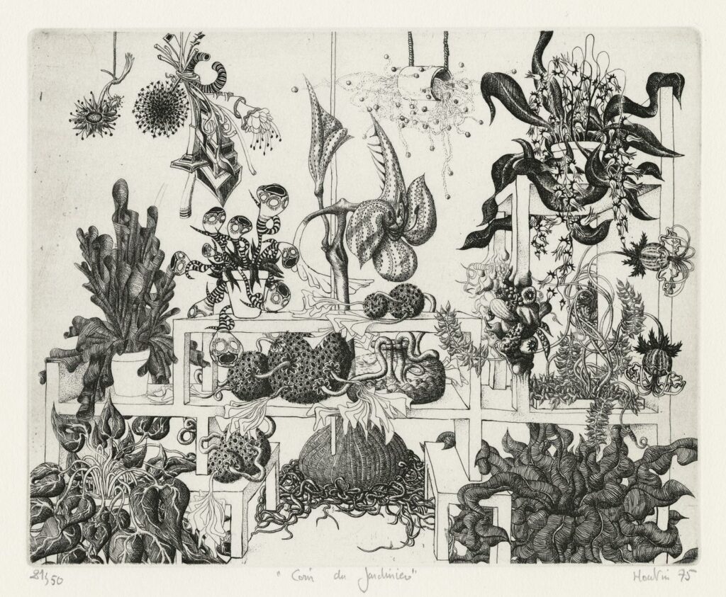 Houtin – Coin du jardinier