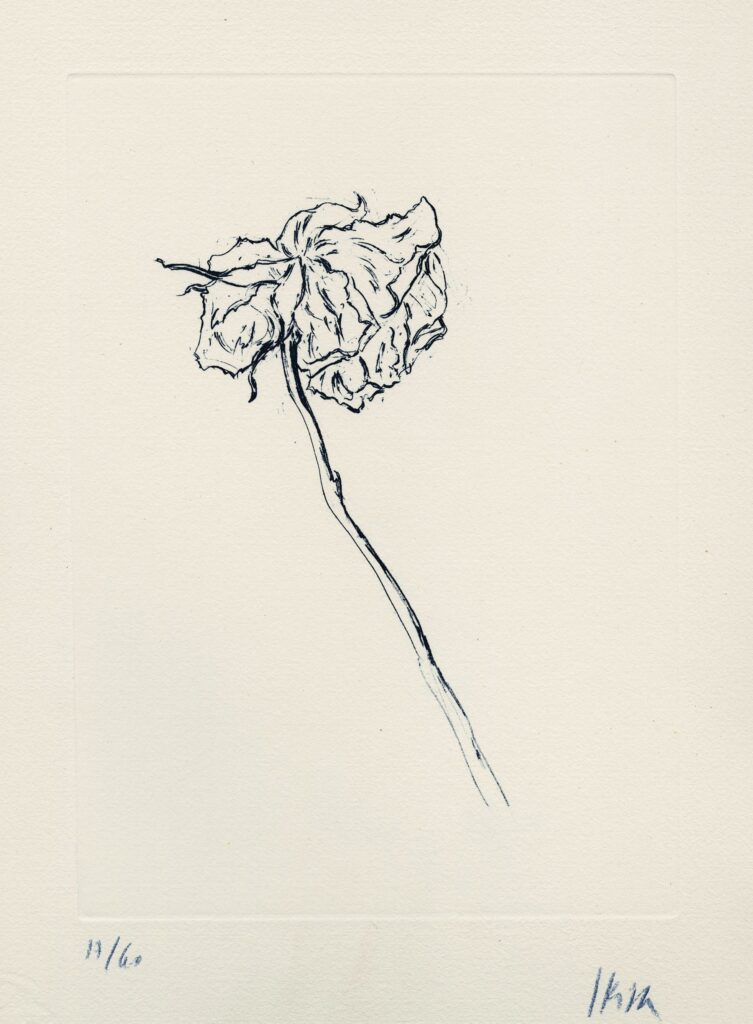 Skira – Sans titre