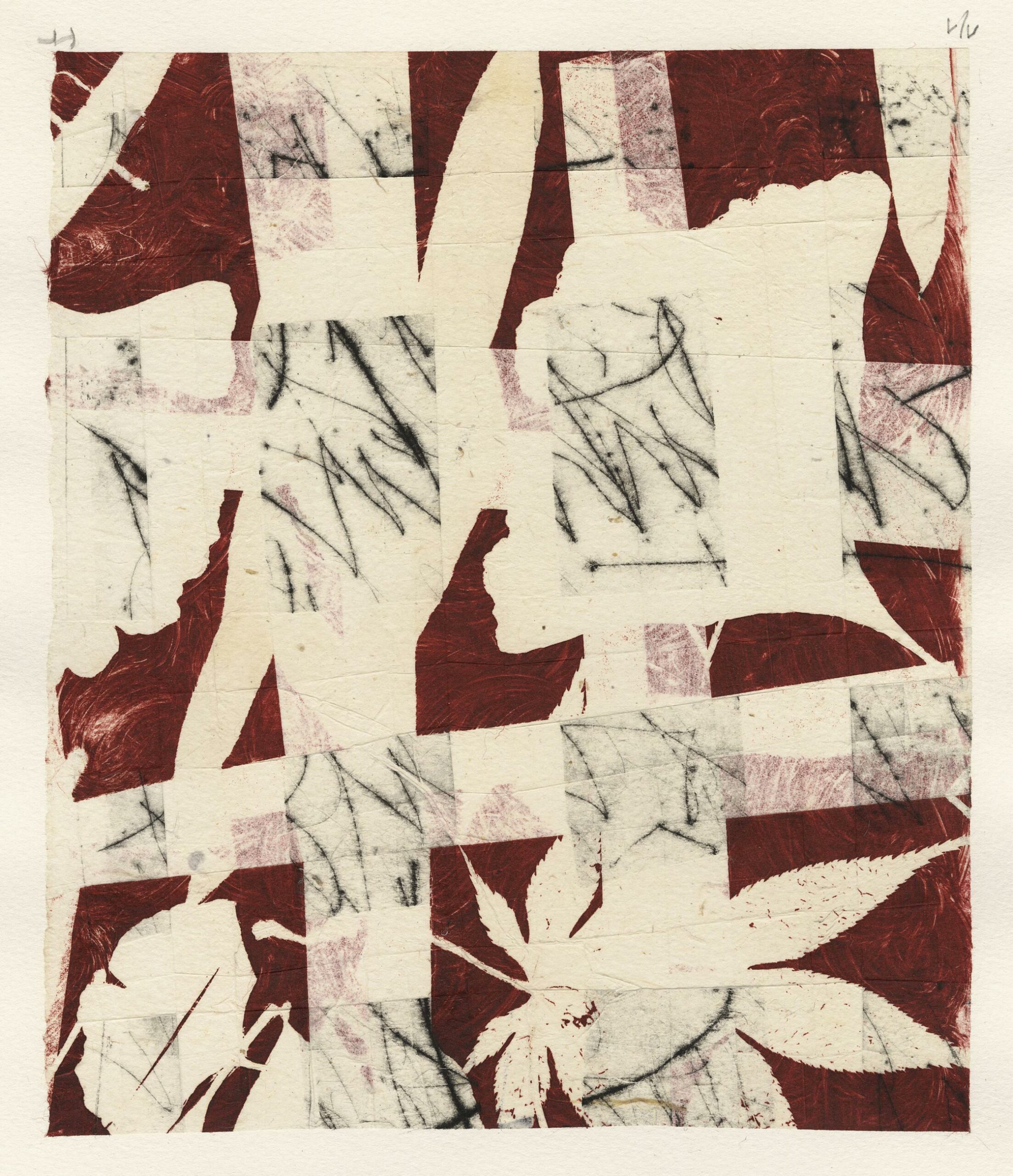 TURPIN Sylvie — Empreinte végétale