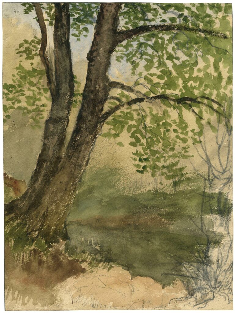Johns – Deux arbres