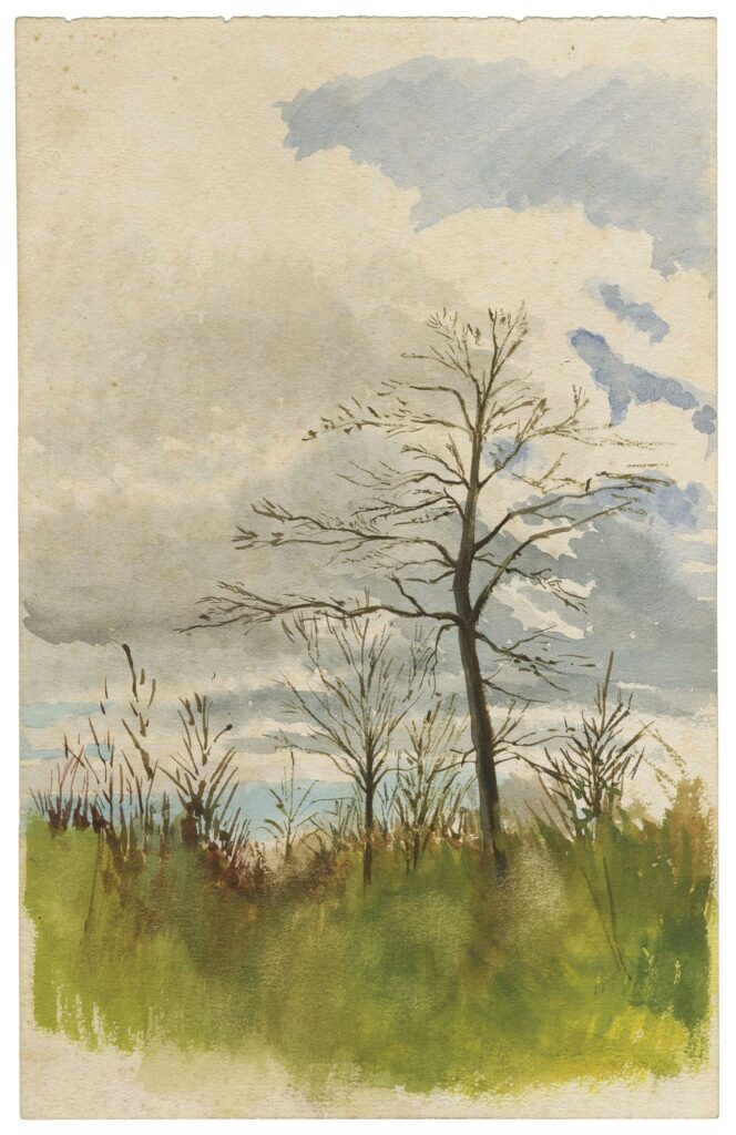 Méquillet – Clairière