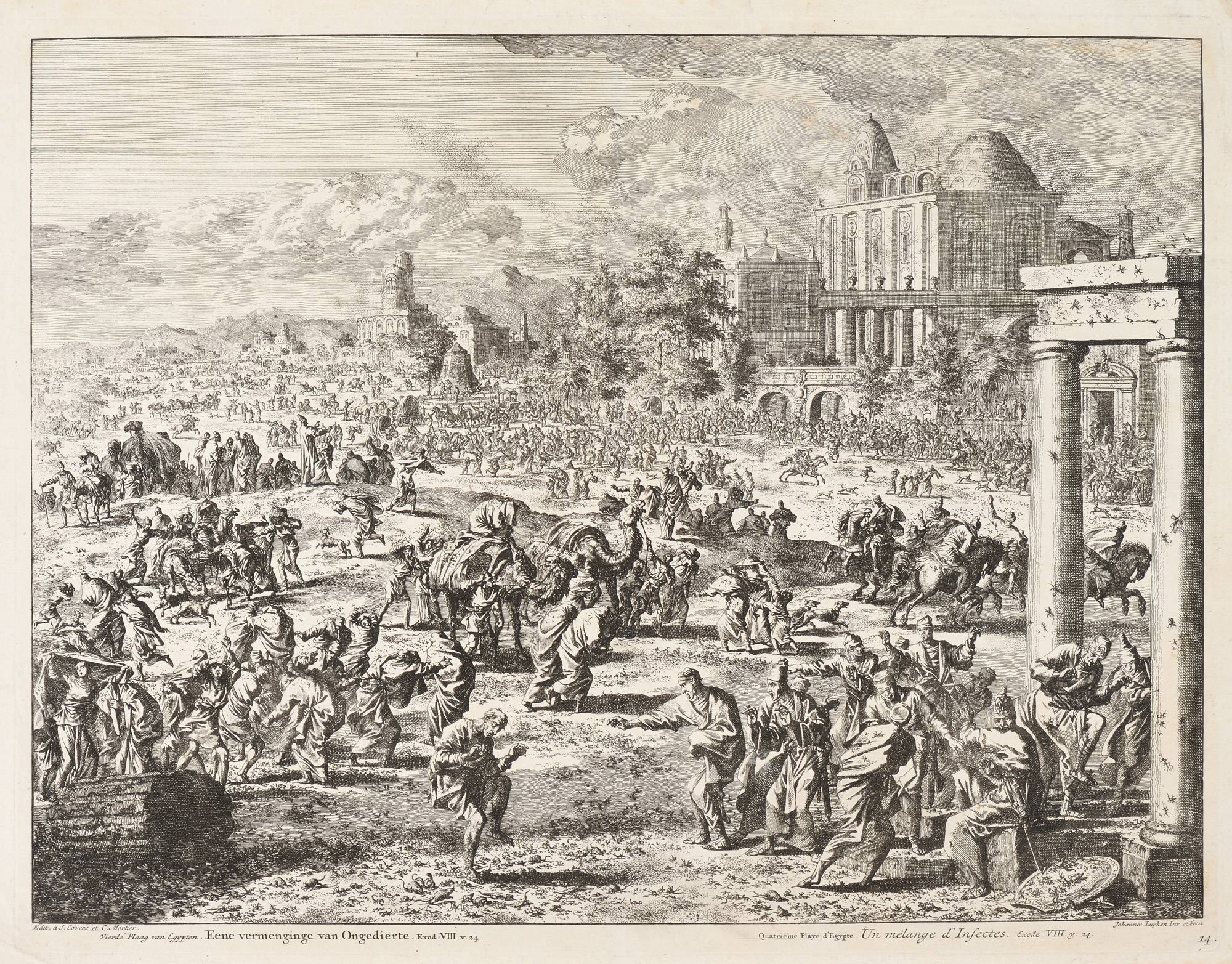 Jan LUYKEN, Un mélange d’insectes, 1708, Planche 14 de la suite des Illustrations des histoires de l’Ancien et du Nouveau Testament, 1708, Pieter Mortier, Amsterdam, Galerie Paul Prouté Paris