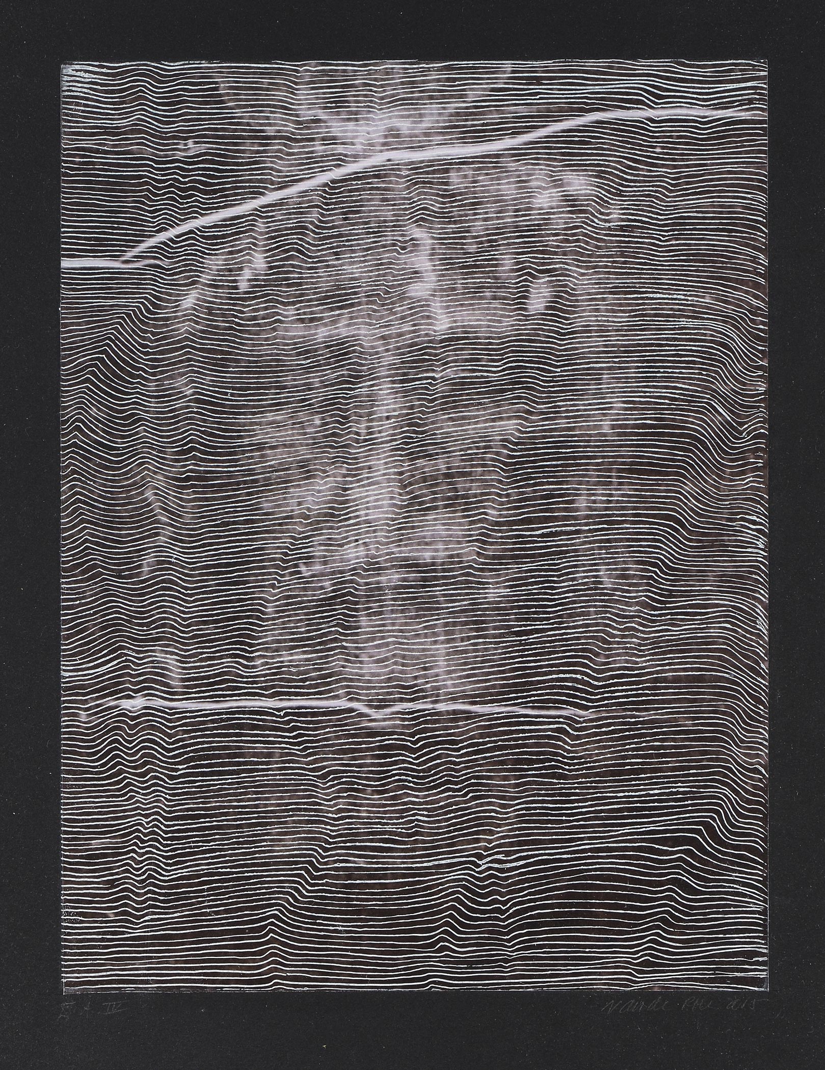 ROER Michèle van de — Le Saint Suaire