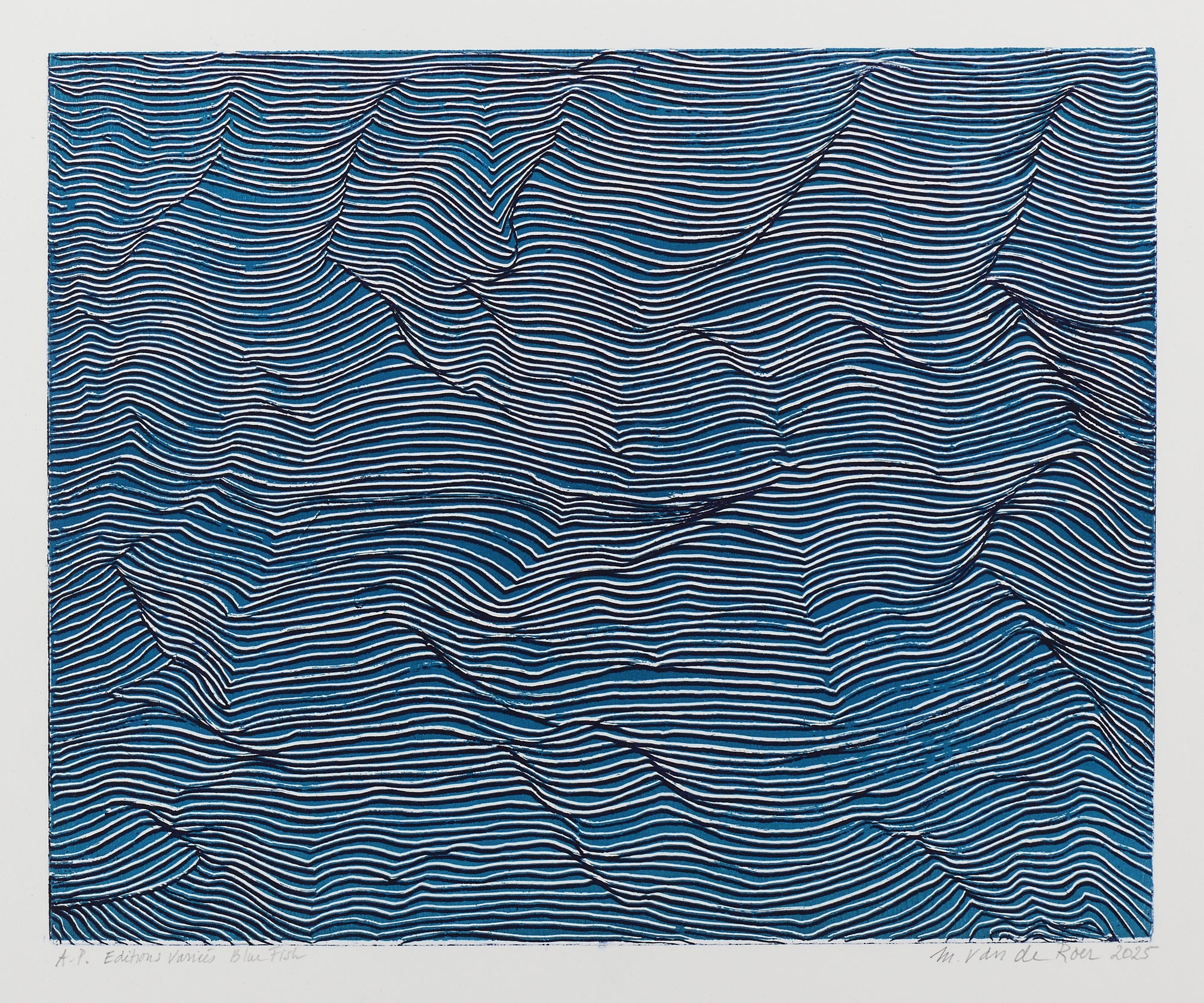 ROER Michèle van de — Blue fish