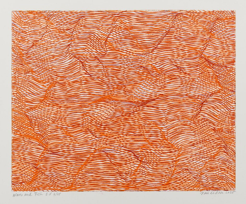 ROER – Waves and fish