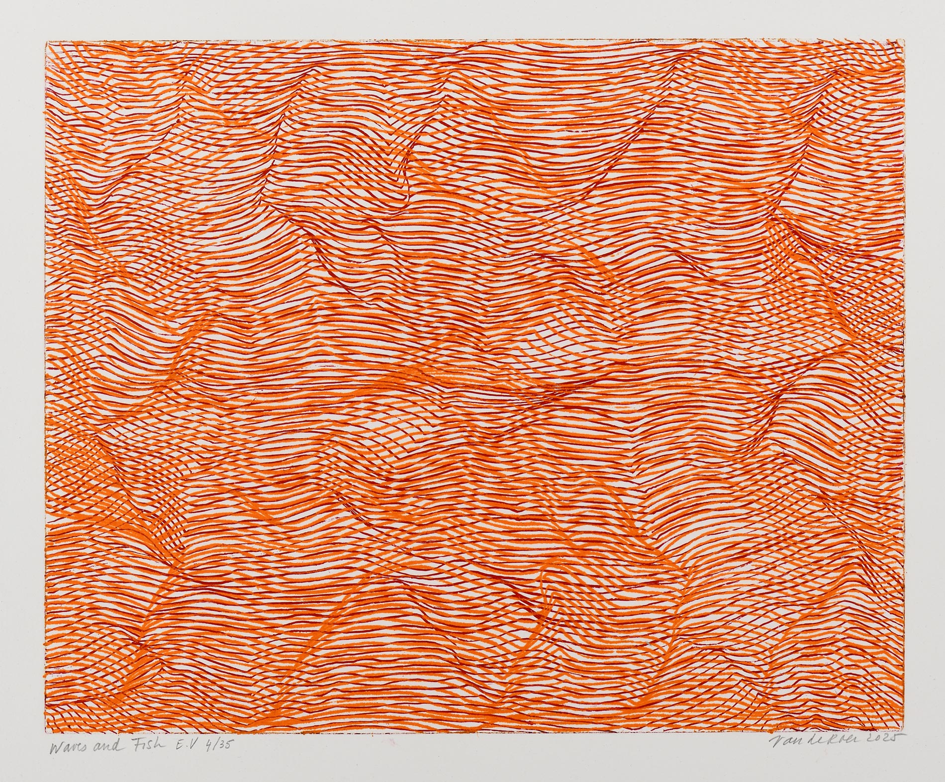 ROER Michèle van de — Waves and fish