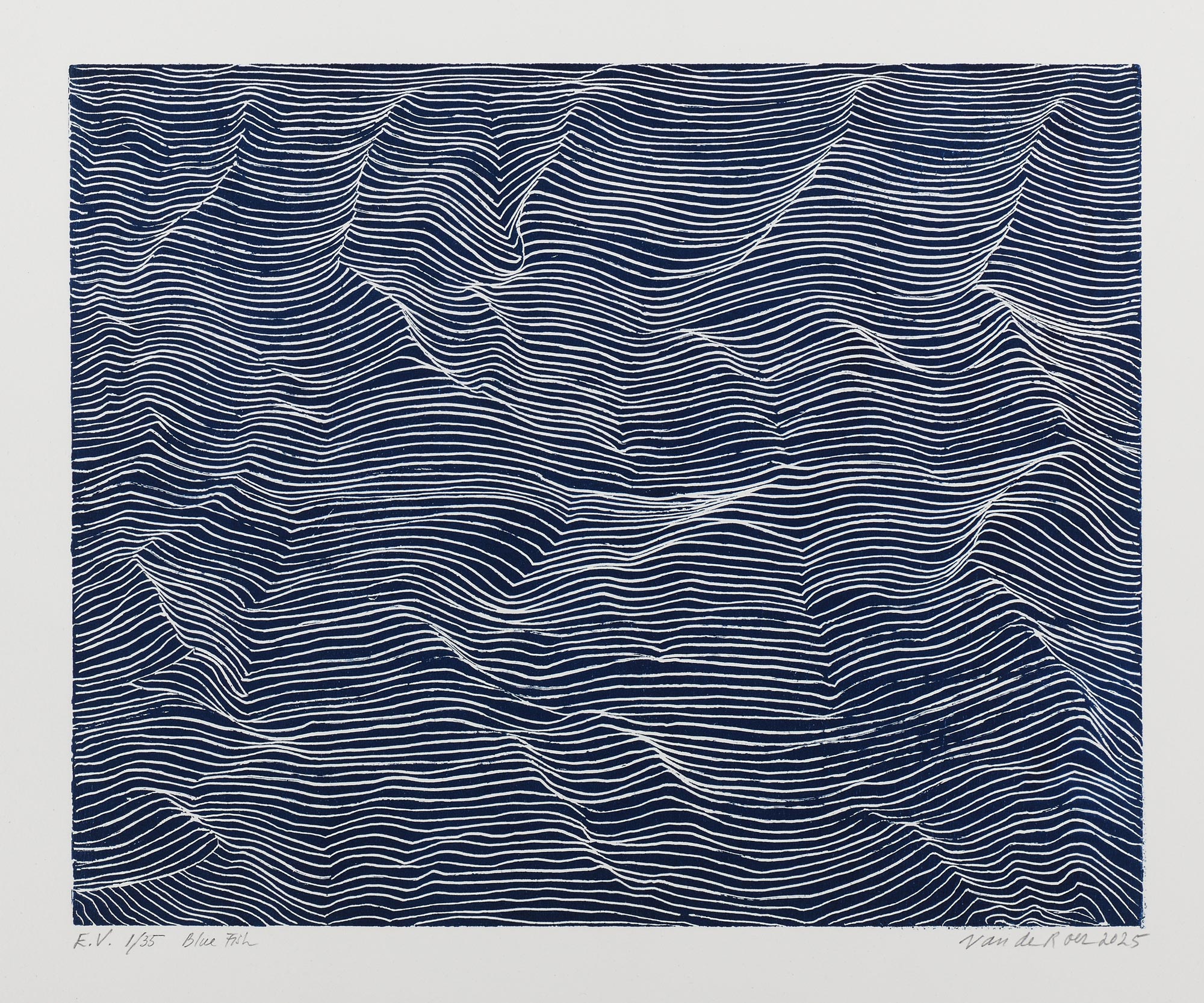 ROER Michèle van de — Blue fish