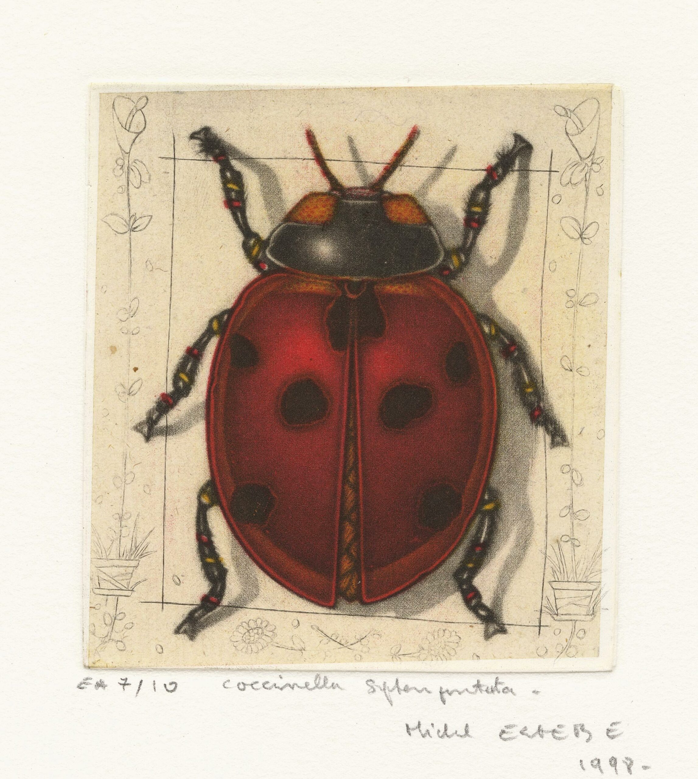 Michel ESTÈBE, Coccinella septempunctata, 1998, Gravure originale à la manière noire en couleurs, Galerie Paul Prouté Paris