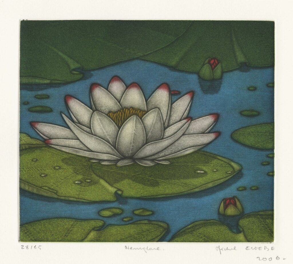 Estèbe – Nénuphar