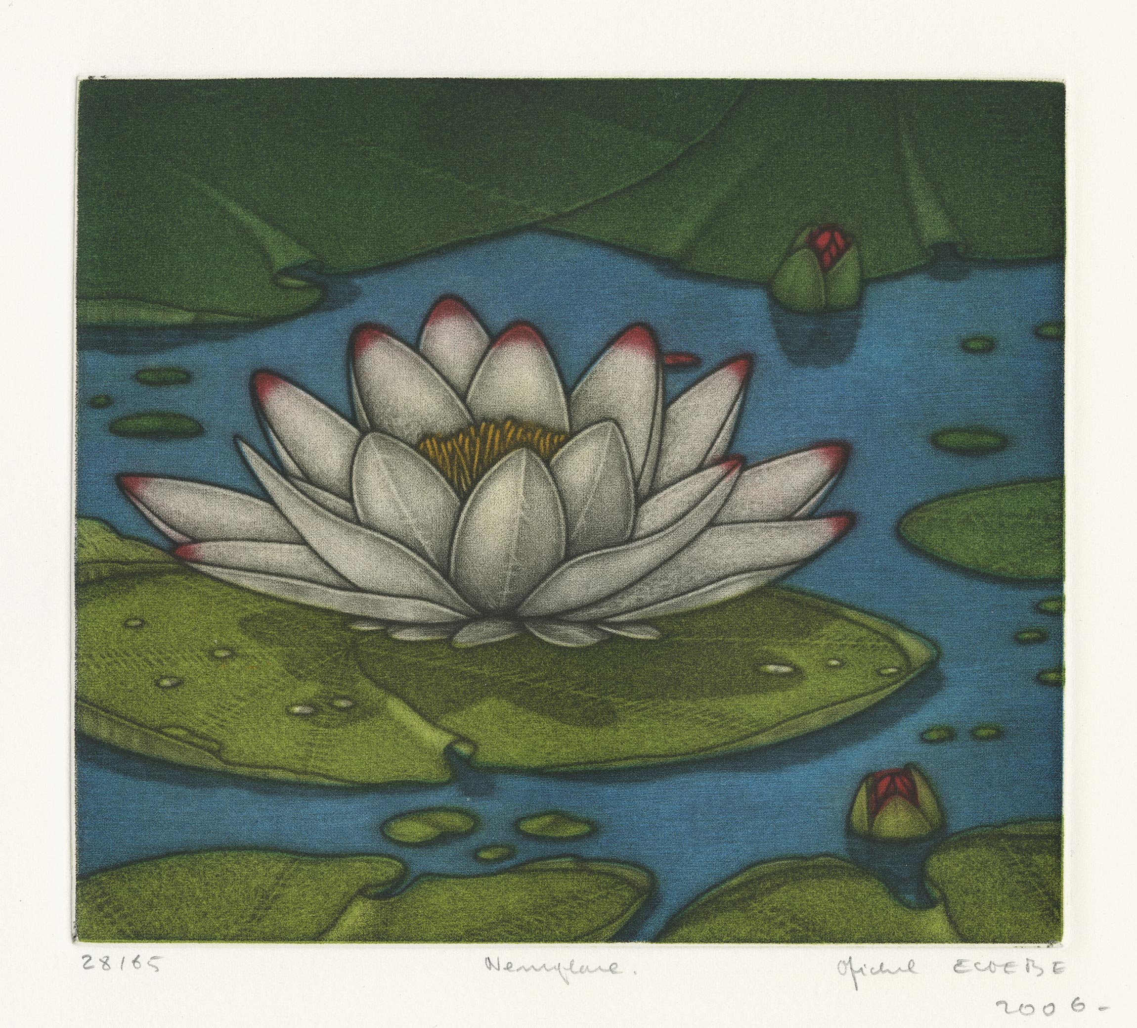 Michel ESTÈBE, Nénuphar, 2006, Gravure originale à la manière noire en  couleurs, Galerie Paul Prouté Paris