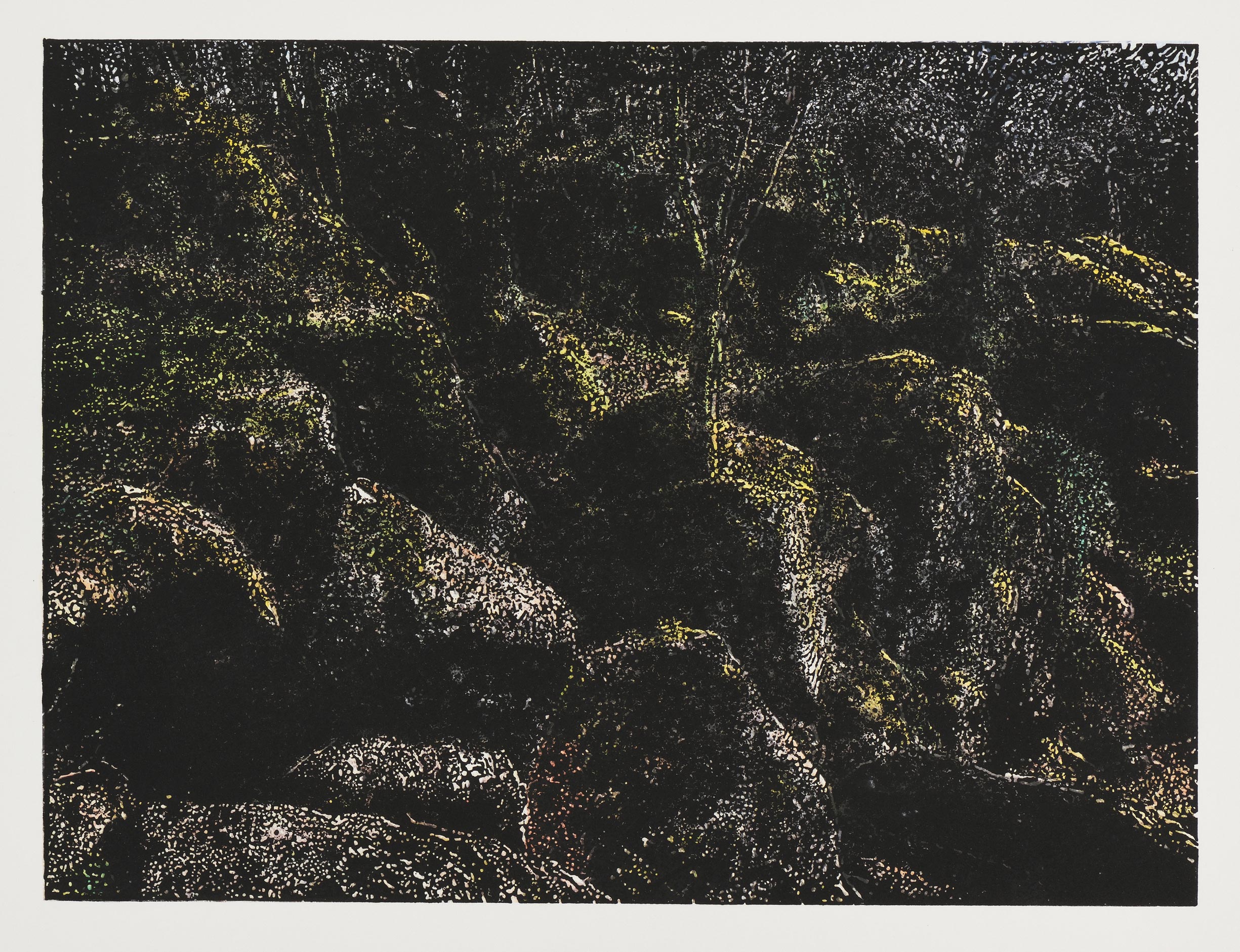 Dom et Jean-Paul RUIZ, 0274, 2024, Linogravure originale en couleurs, Galerie Paul Prouté Paris