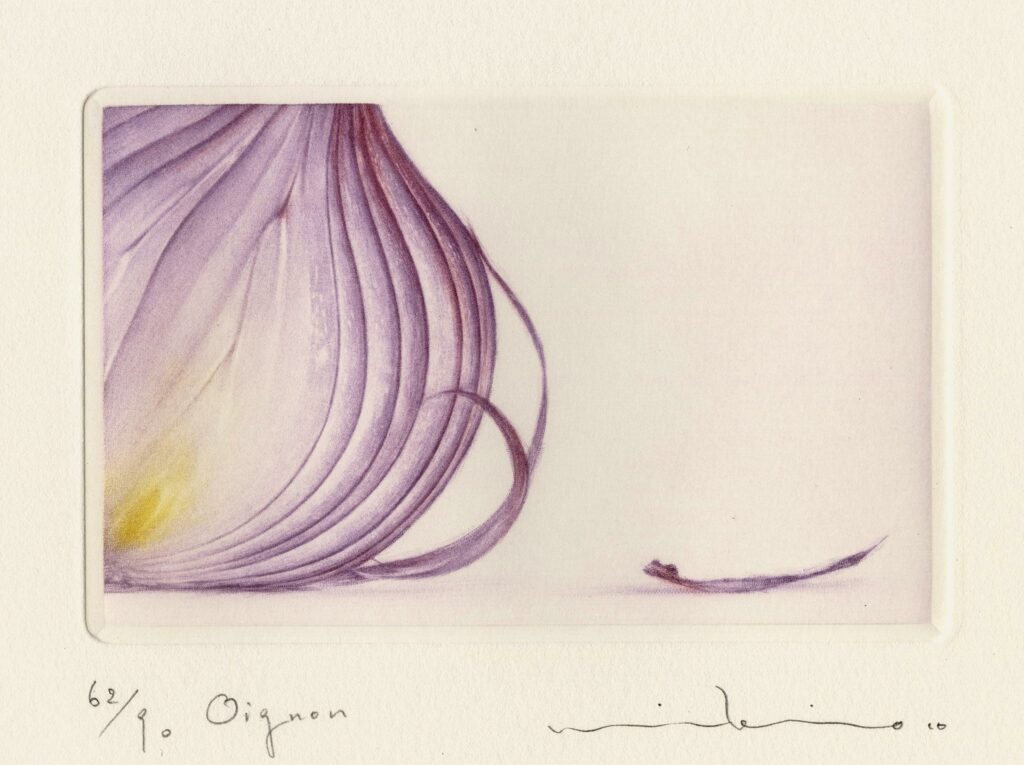 Watanabe – Oignon