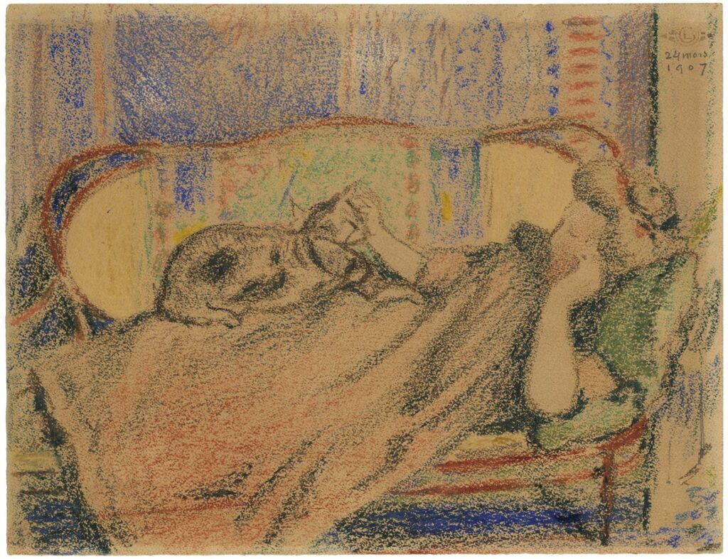 Lemmen – Femme allongée caressant son chat