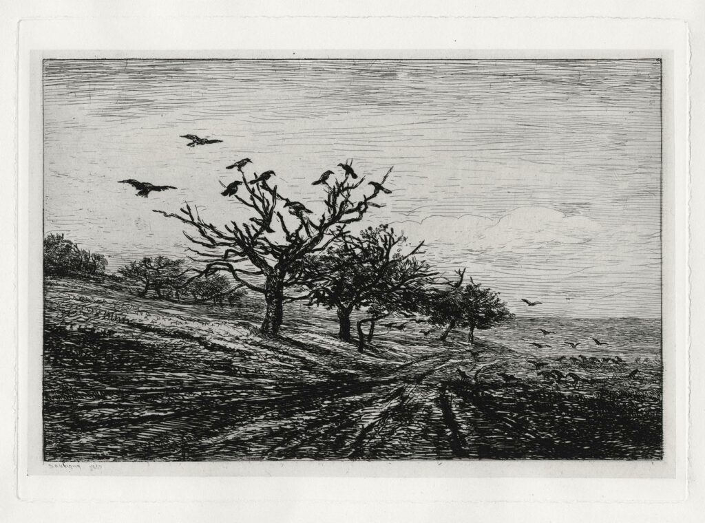 Daubigny – L’arbre aux corbeaux