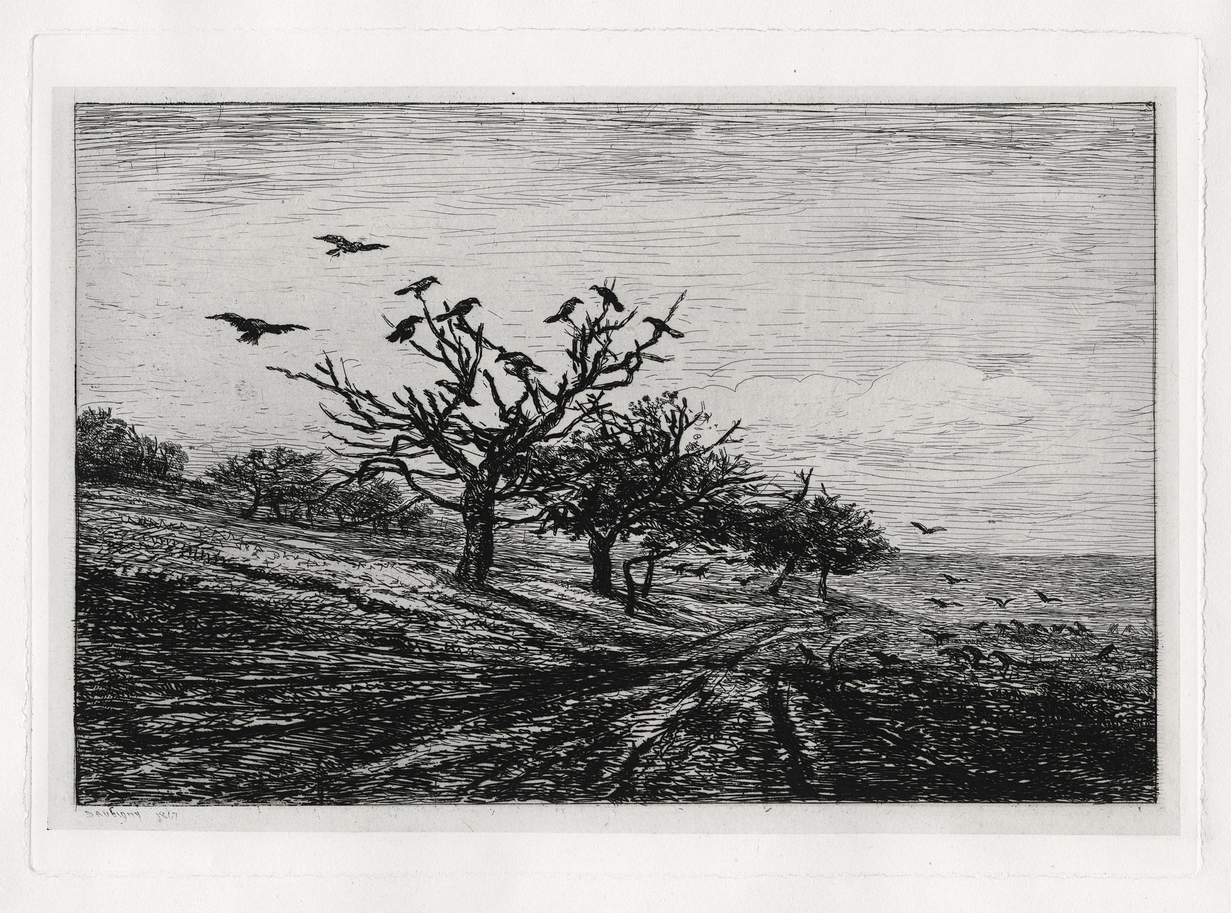 Charles-François DAUBIGNY, L’arbre aux corbeaux, 1867, Gravure originale à l&rsquo;eau-forte, Galerie Paul Prouté Paris