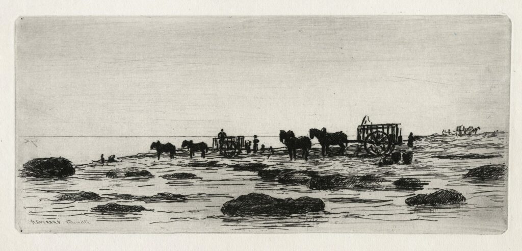 Guérard – La récolte des moules (Villerville)