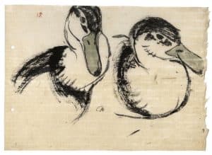 Deux canards