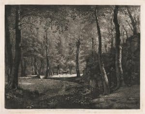 Le Bois de Rochecardon