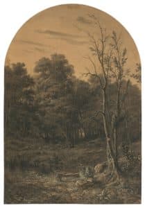 Paysage boisé près d’un étang