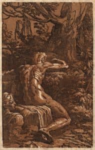 Narcisse