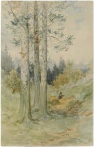Clairière dans une forêt (Plombières)