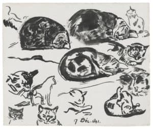 Études de chats