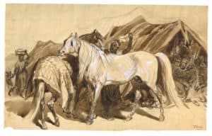 Dans le désert, le pansage des chevaux devant des tentes