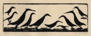 Oiseau de Madagascar I