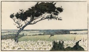 Donville. Le Grand dvise