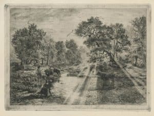 Les boeufs traversant la mare de Belle-Croix, effet de soleil à travers les arbres
