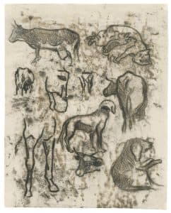 Études d’animaux