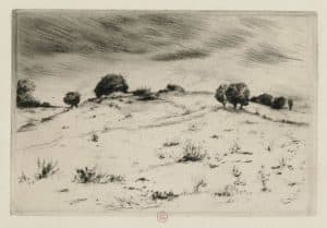 Paysage