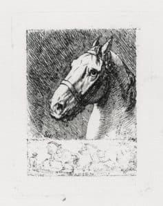 Tête de cheval tournée à gauche