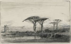 Paysage aux acacias