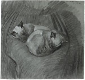 Blanchette et B. B. ; deux chats endormis