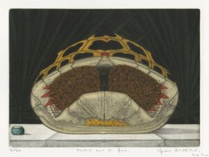 Tortue vue de face