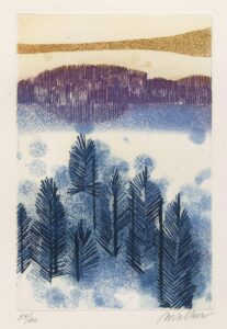 Snowscapes